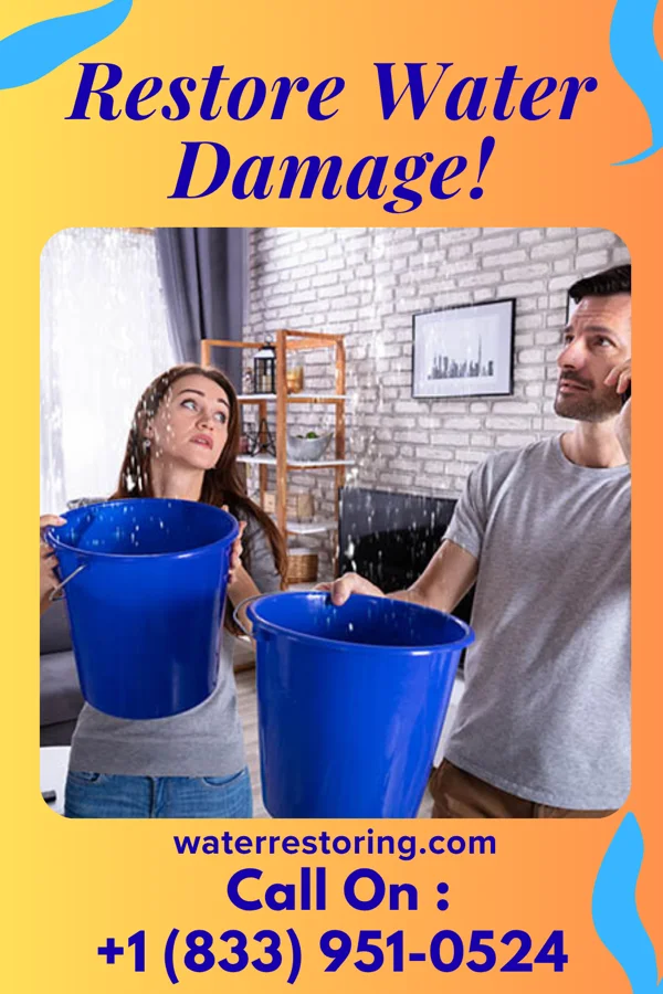 water restoration North Damage Restoration Professionals Carrabelle