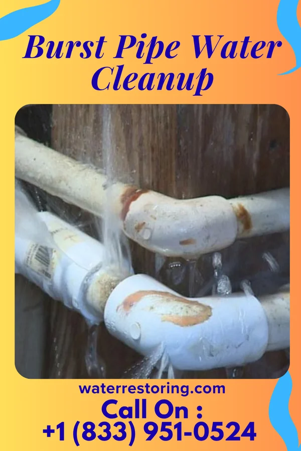 Burst Pipe Water Cleanup in Carrabelle, FL